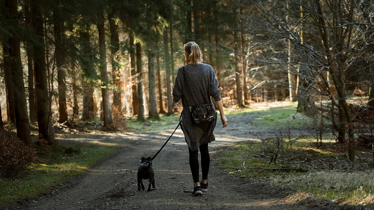 The Power of Distance: Managing Space on Walks (image credits: pixabay)