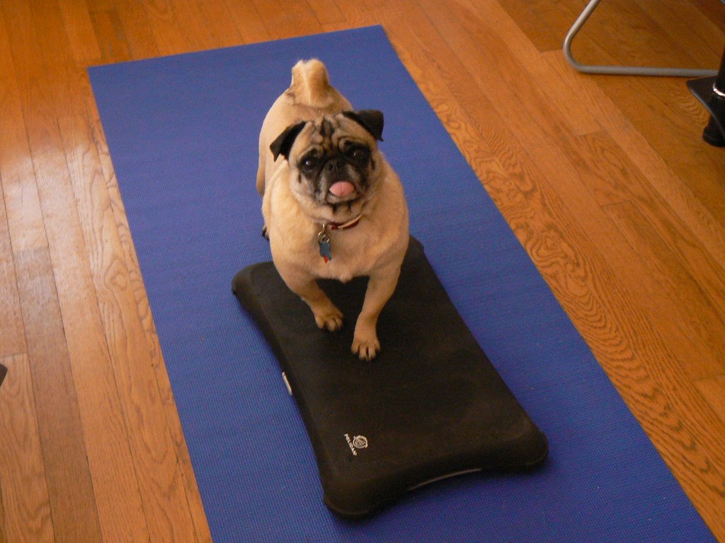 Exercise: Finding the Sweet Spot (image credits: flickr)