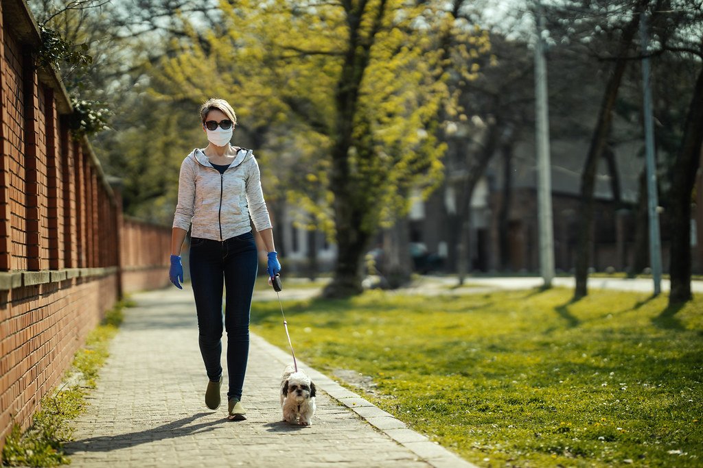 City-Savvy and Social Butterflies (image credits: flickr)