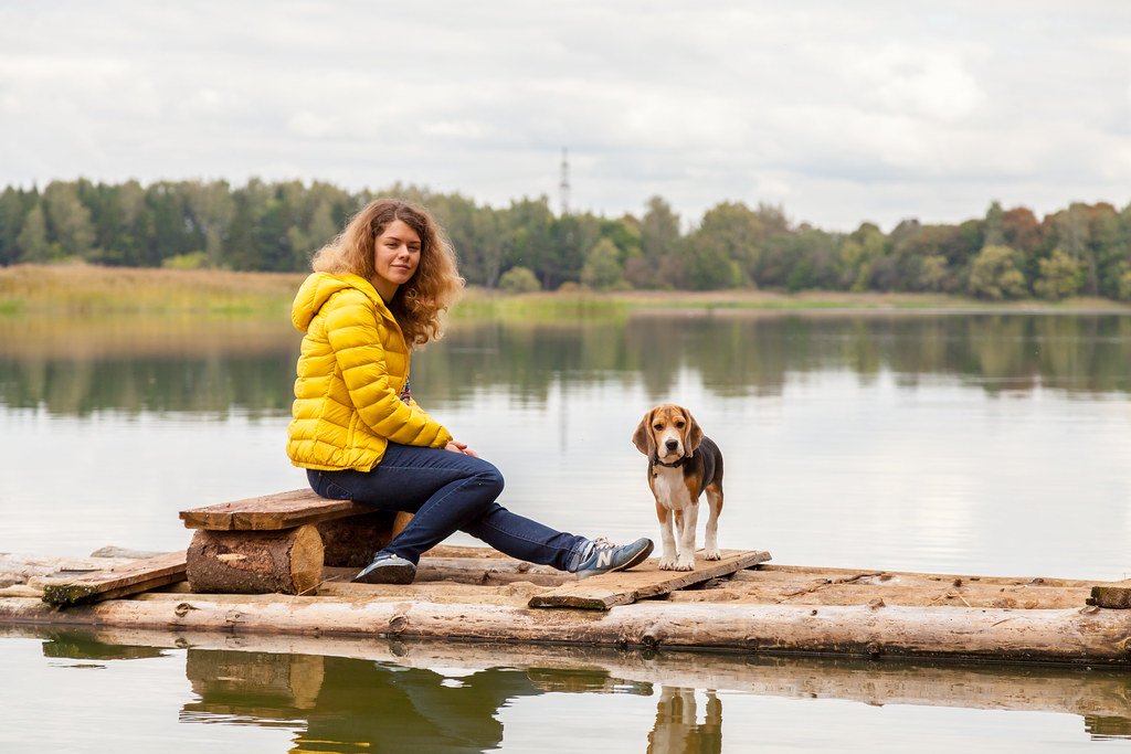 12 Dog Breeds ever ready To Become Best Buddies With Other House Pets