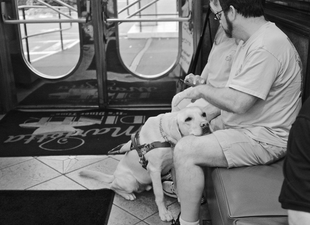 5. Resting Their Head on You (image credits: flickr)