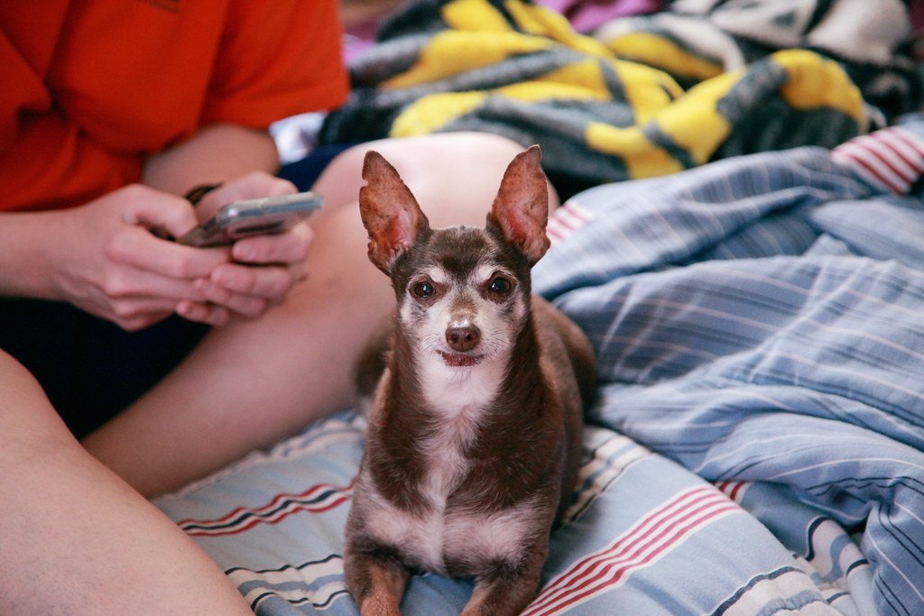 Perfectly Sized for Southwestern Living (image credits: flickr)