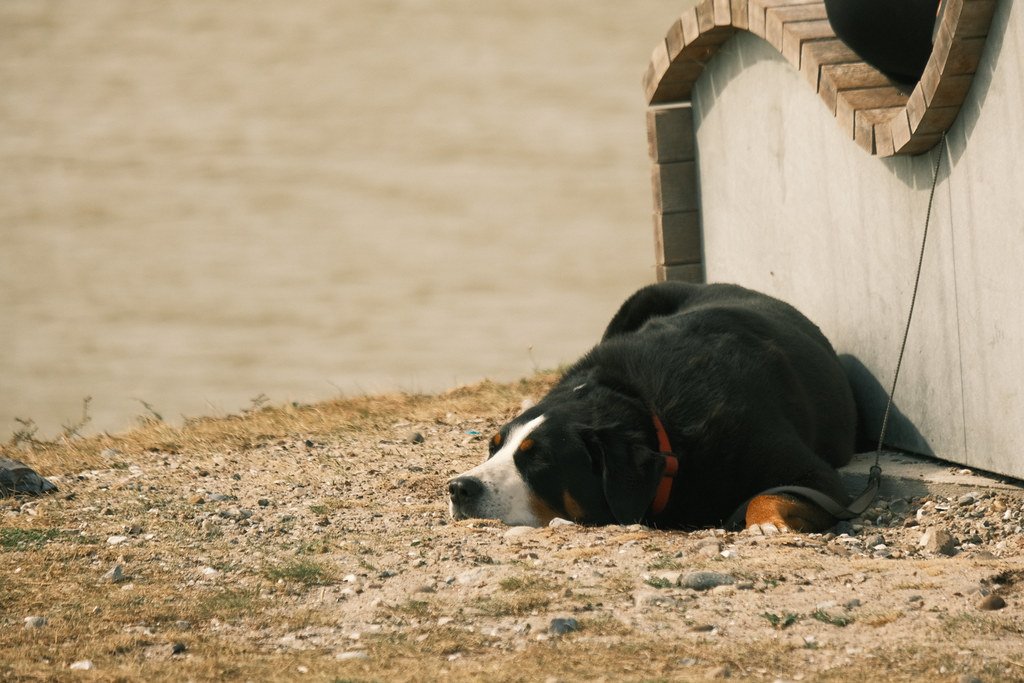 Stress and Environment: The Impact of Surroundings (image credits: flickr)