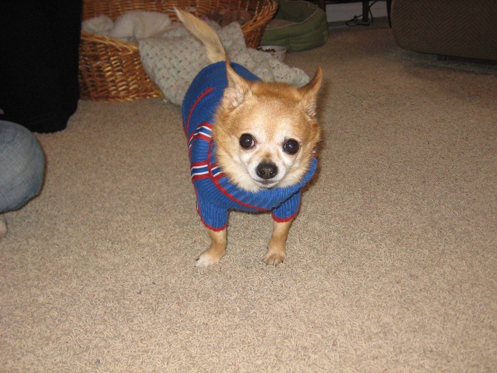 Neighbors: Friends or Foes? (image credits: flickr)