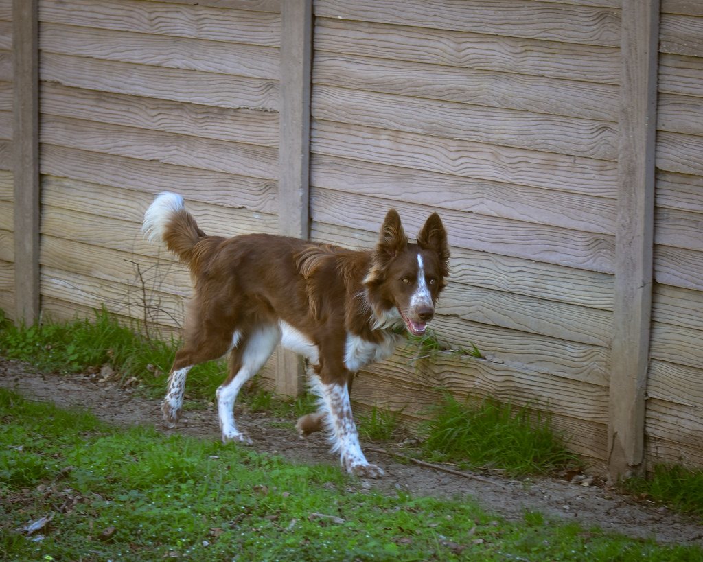 Escape Artist Tendencies (image credits: flickr)