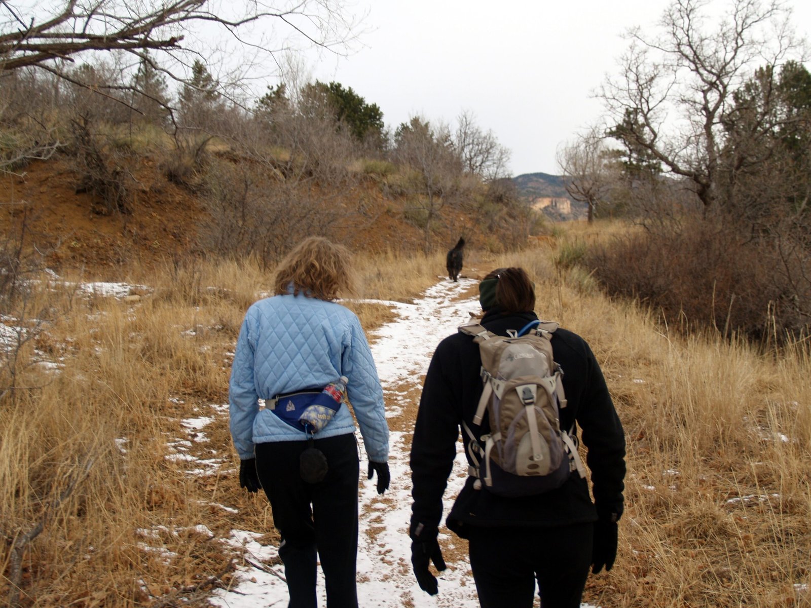 Expansive Hiking Trails for Every Pup (image credits: wikimedia)