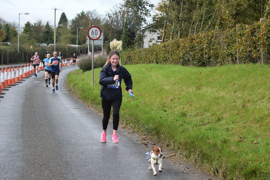 Welcoming Small Towns With Big Hearts (image credits: flickr)