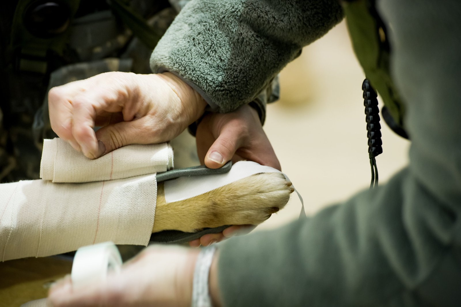 Health Watch: Signs and Prevention Tips (image credits: wikimedia)