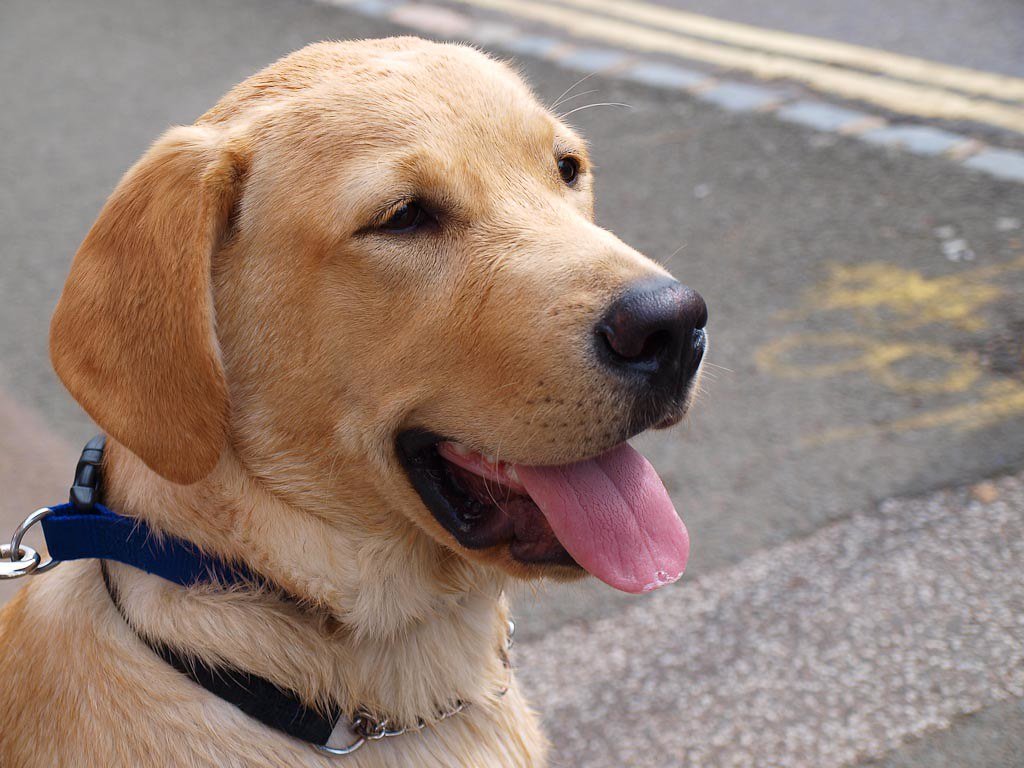 Everyday Joys: Small Moments, Big Memories (image credits: flickr)