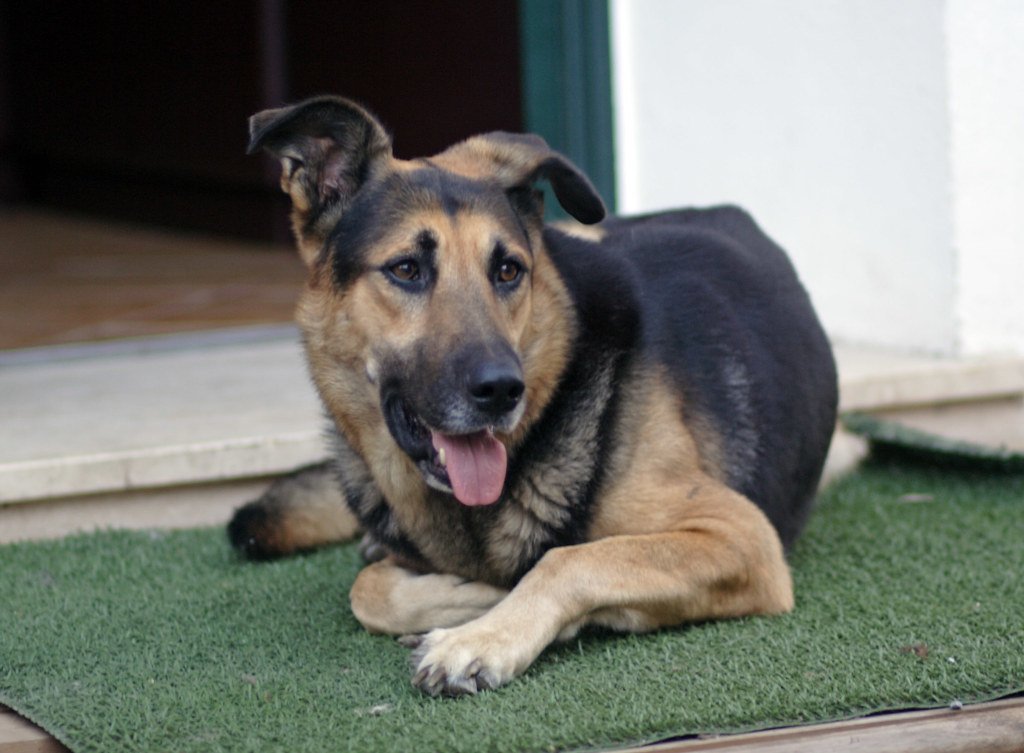 Health and Well-Being: Not Just Food and Water (image credits: flickr)