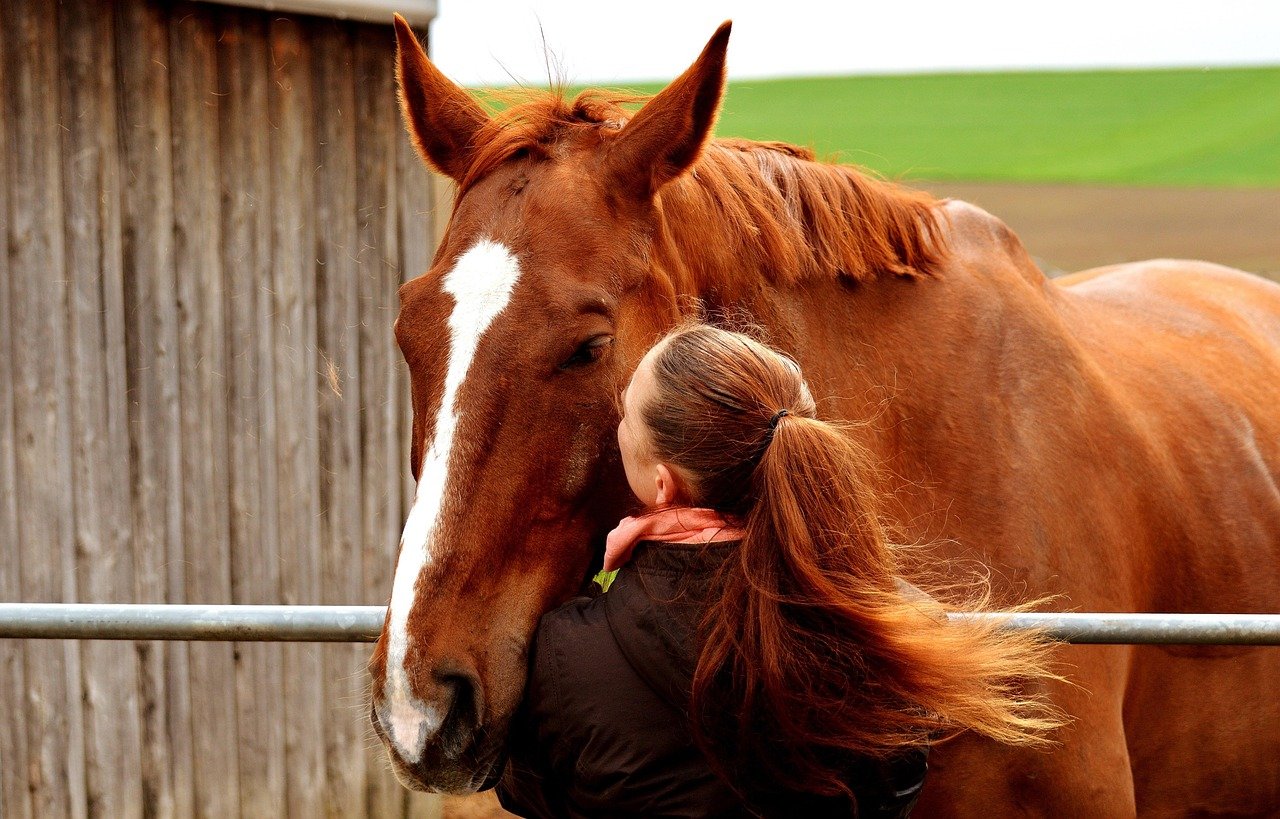 Letting Down Their Guard—Showing Their Vulnerable Side (image credits: pixabay)