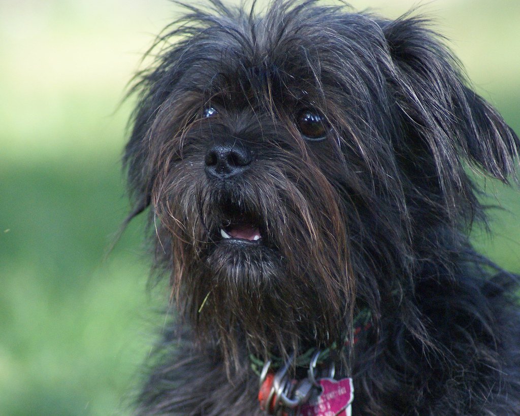 Health Considerations: What to Expect (image credits: flickr)