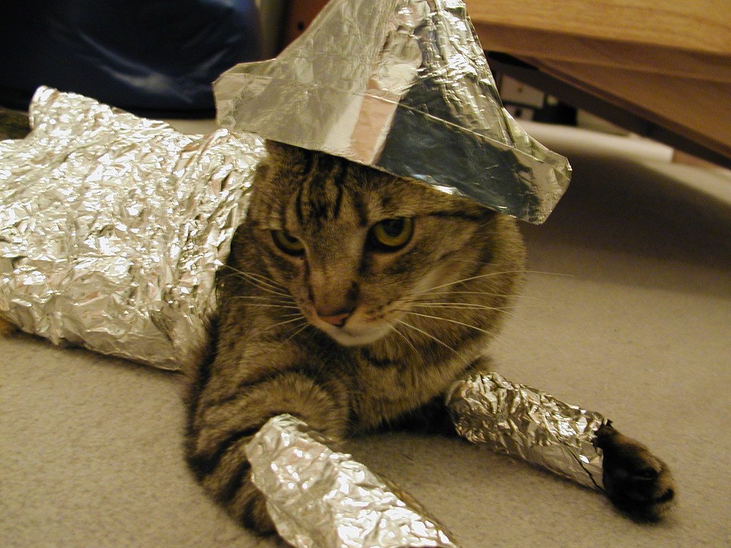How Tin Foil Triggers Anxiety in Cats (image credits: flickr)