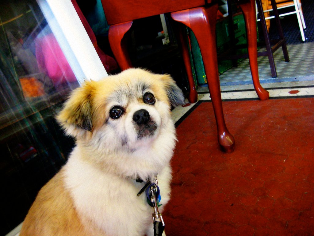 Why Patience is Essential: More Than Just a Rule (image credits: flickr)