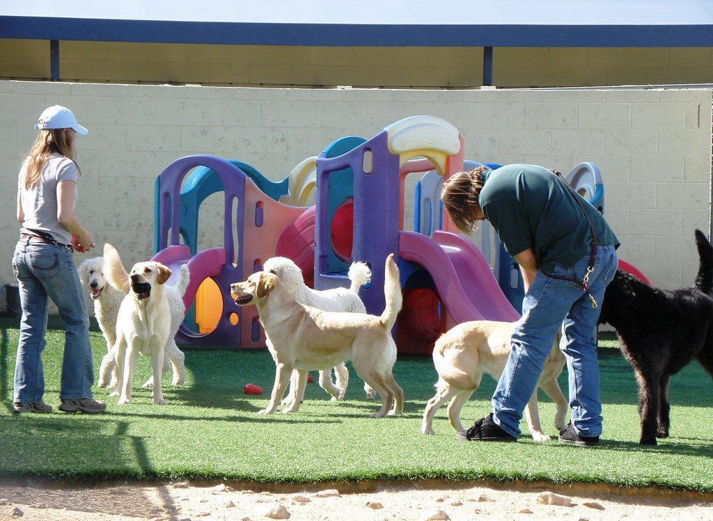 Their Unmatched Friendliness (image credits: flickr)