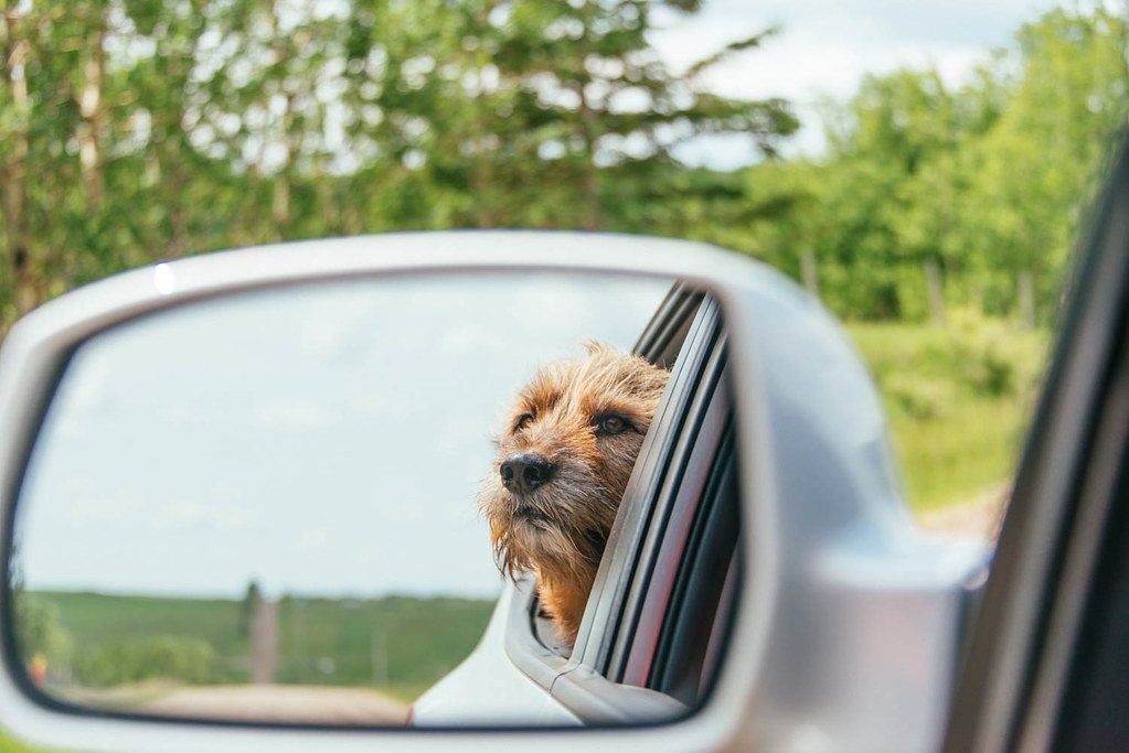 3. Mirror Tests Aren’t the Whole Story (image credits: flickr)