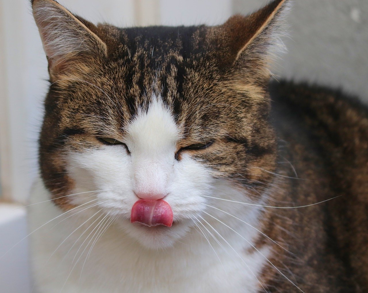 Changes in Appetite (image credits: pixabay)