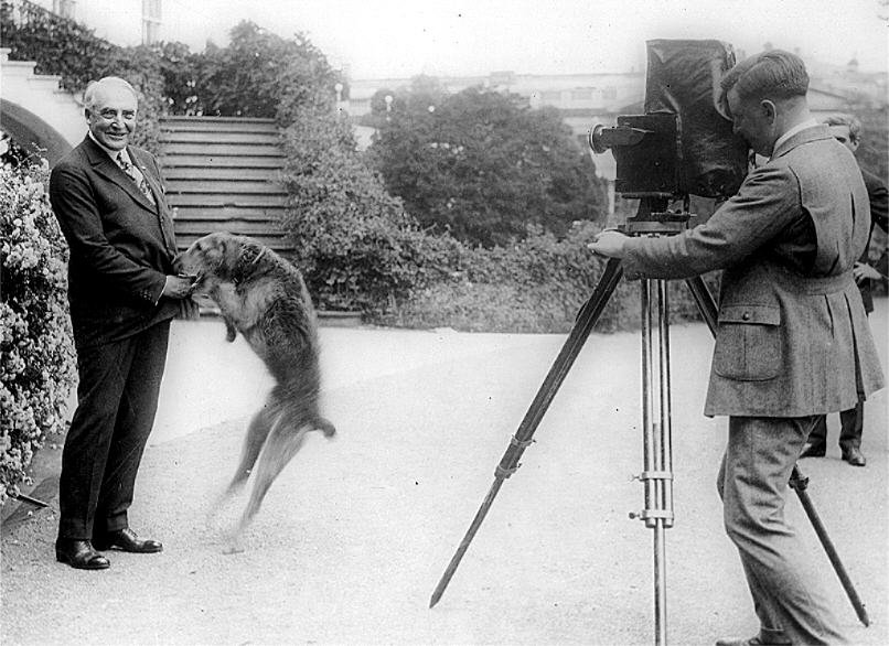 Warren G. Harding and Laddie Boy - The First Celebrity Dog (image credits: wikimedia)
