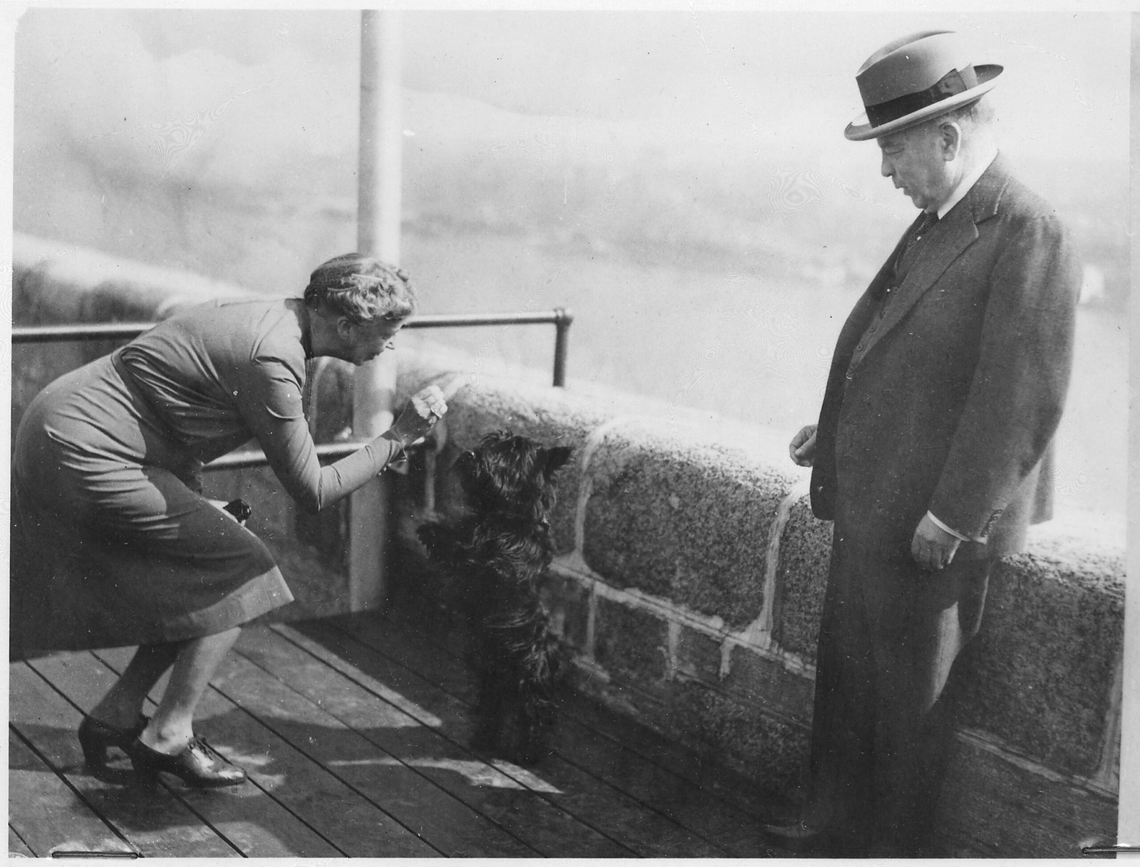 Franklin D. Roosevelt and Fala - The Most Famous Presidential Dog (image credits: wikimedia)