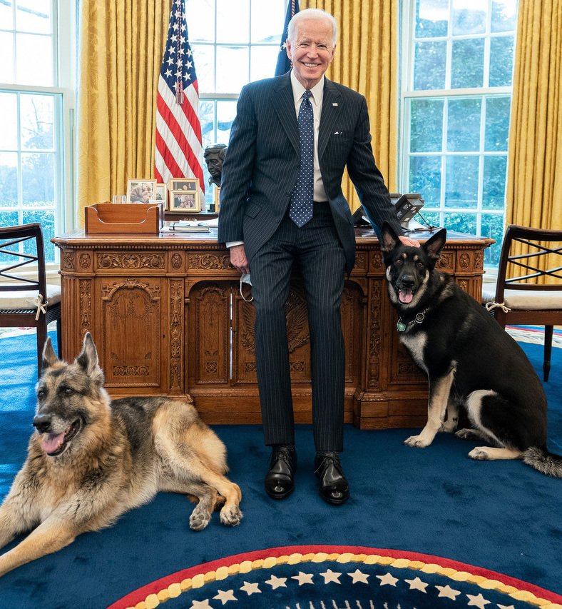 Joe Biden and His German Shepherds (image credits: wikimedia)