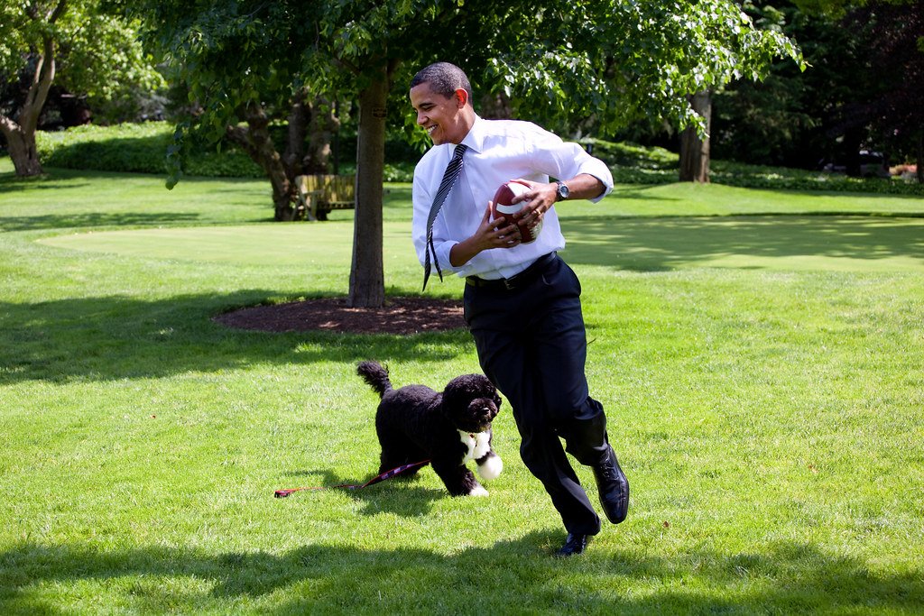 15 Popular US Presidents and Their Dogs: Guess Who Does Not Like One.