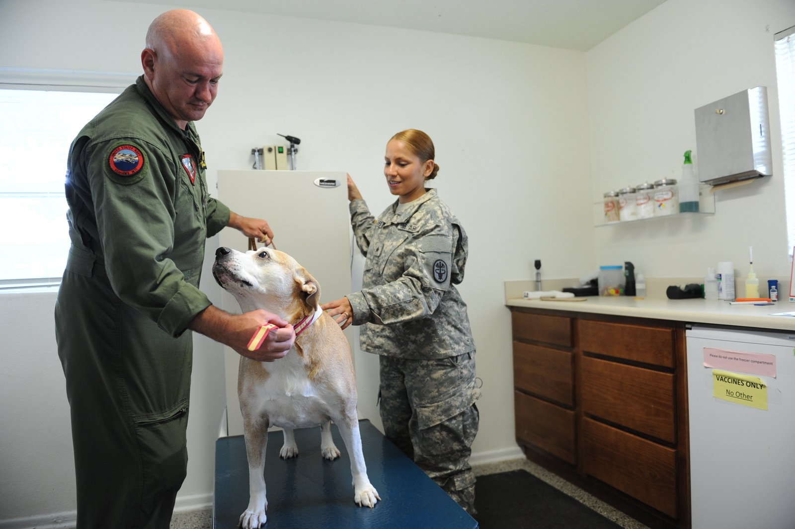 Skipping Regular Vet Visits (image credits: wikimedia)