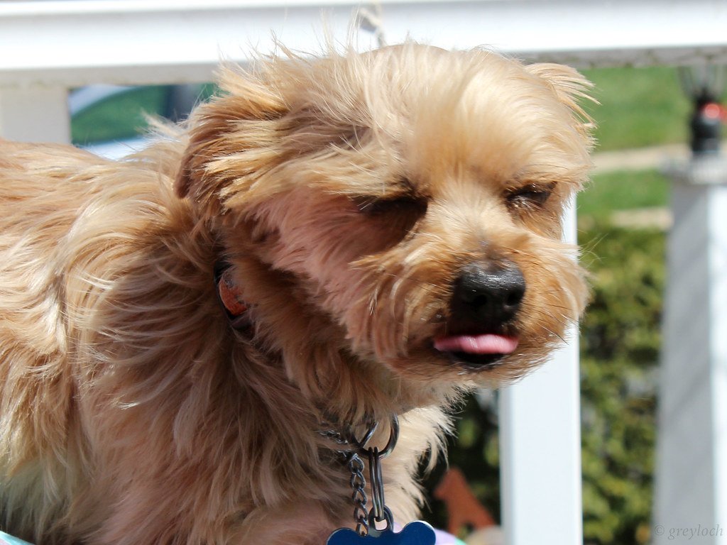 Inconsistent Routines and Mixed Signals (image credits: flickr)