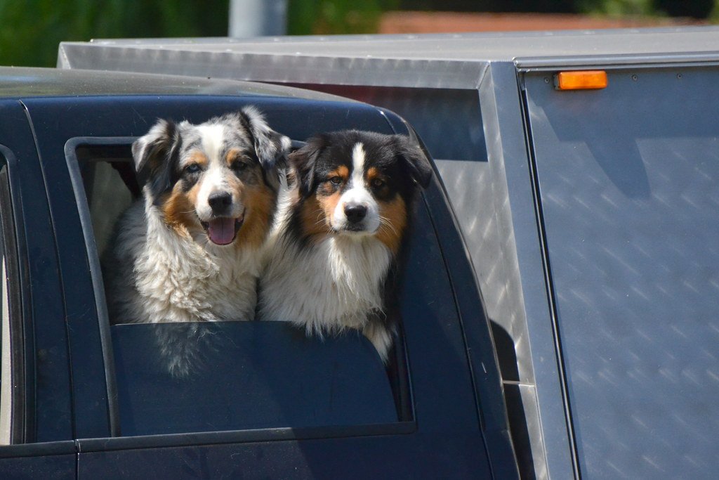 Ignoring Communication and Body Language (image credits: flickr)