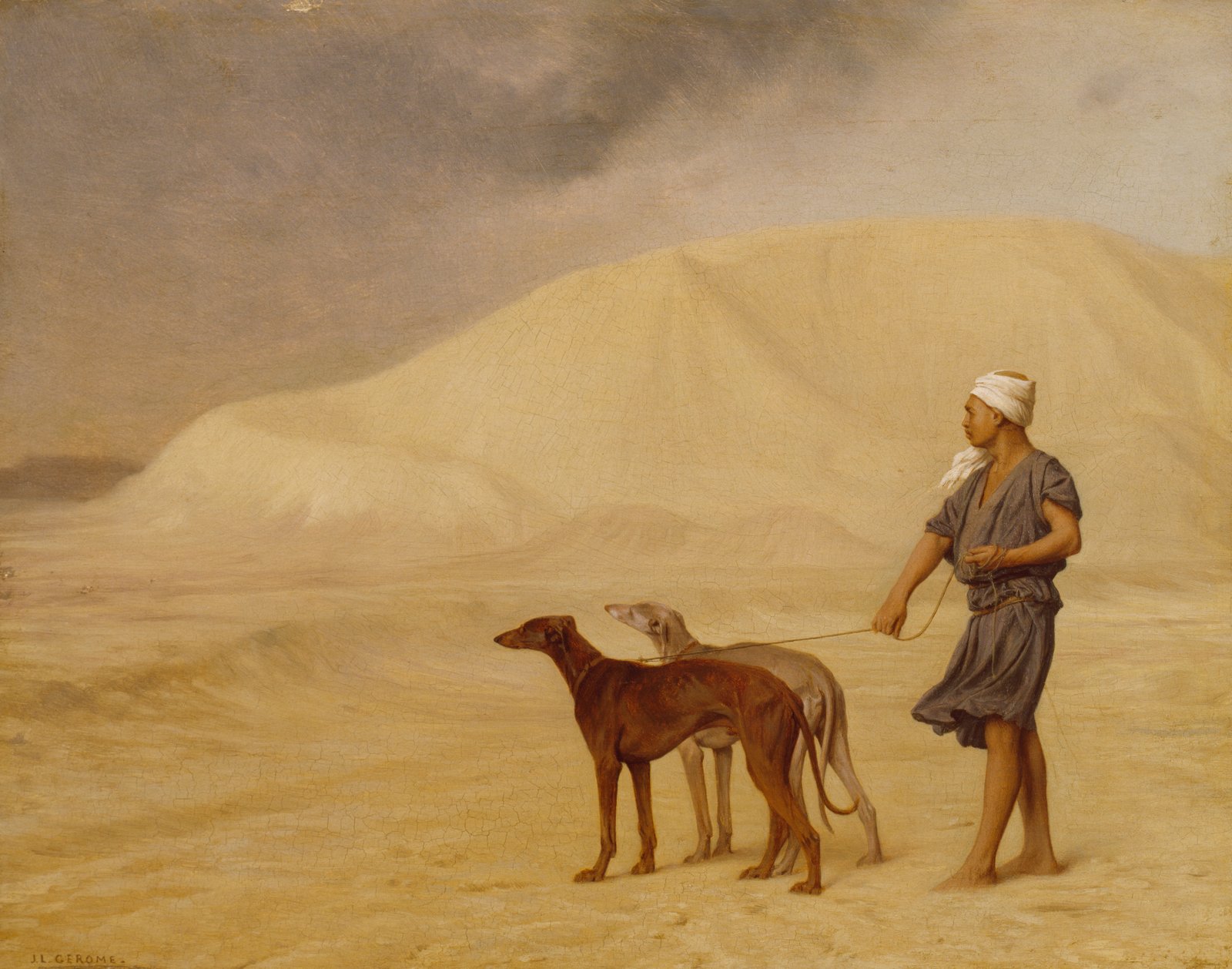 Desert Royalty with Ancient Roots (image credits: wikimedia)