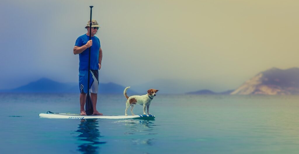 standup paddleboarding, man, dog, friendship, nature, companion, pet, owner, paddleboard, animal, paddle, together, stand, standing, ocean, person, sea, surfboard, water, leisure, hobby, outdoors