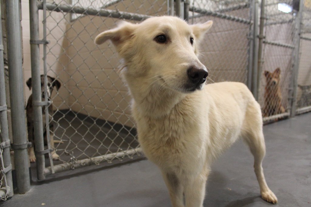 A New Beginning for Princess