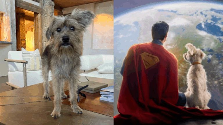 A Scrappy Rescue Dog Is the Real-Life Inspiration Behind Hero Canine Krypto in James Gunn's Superman 2025 Film