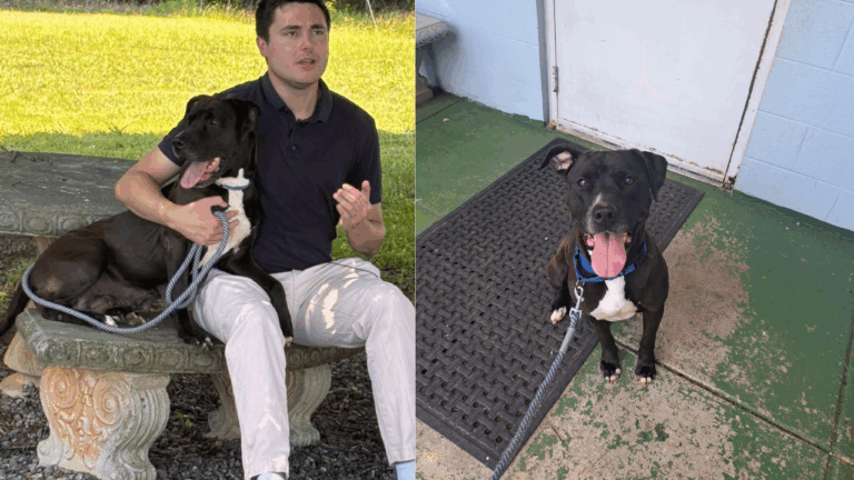 A Nose for Love: Shelter Dog Sienna Senses Man’s Seizure Before It Happens and Becomes a Hero