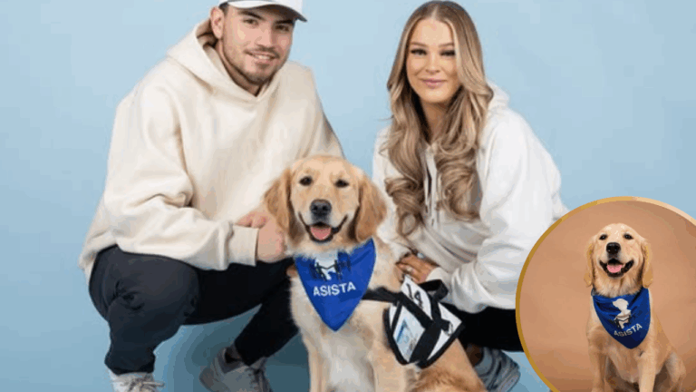 She Was Surrendered to a Shelter—Now This Golden Retriever Is Saving Lives as a Service Dog