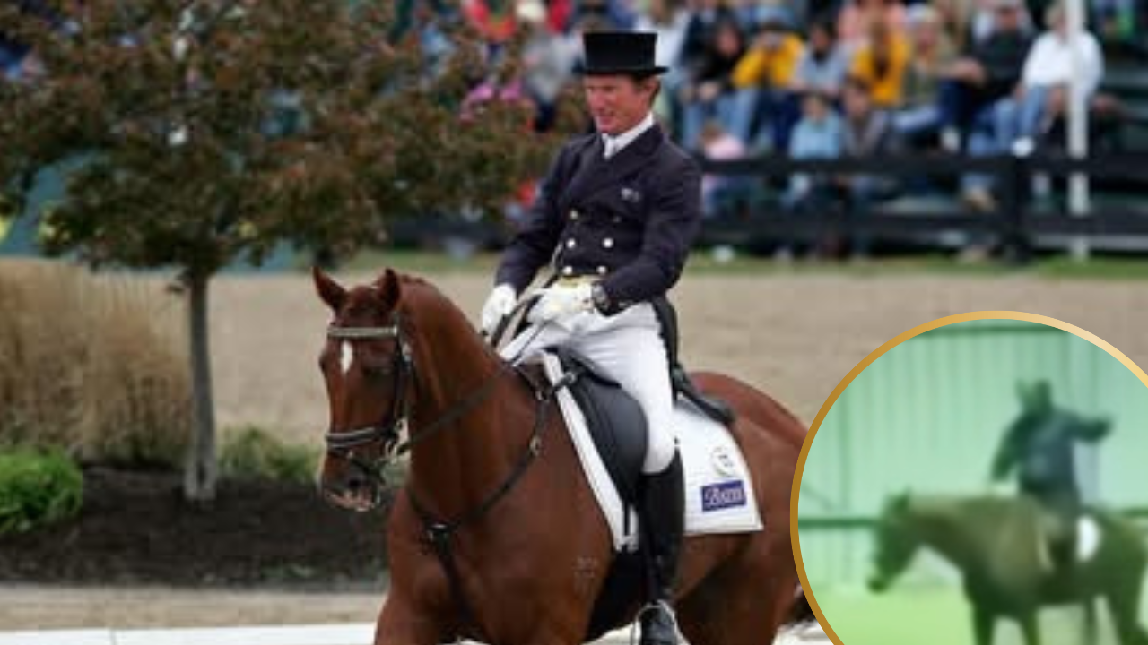 Incident of Olympian Equestrian Reveals Why Horse whipping is Painful and Cruel