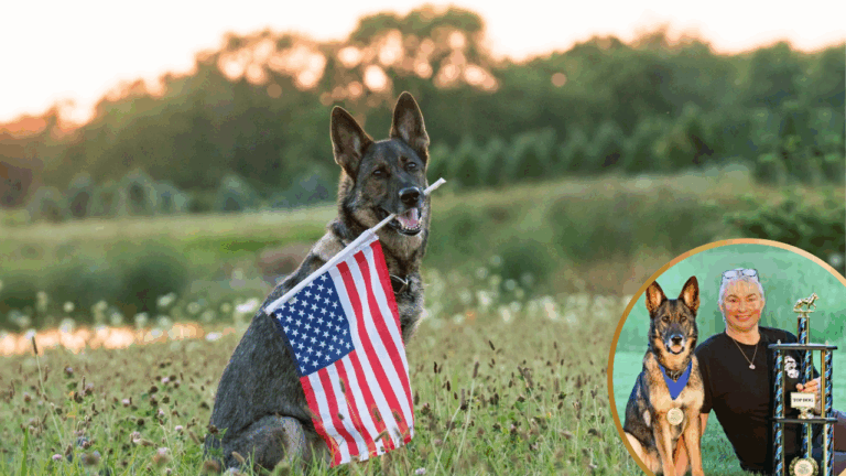 Meet Besa, The Only US K9 to Be Awarded a Special ‘Human Trafficking’ Qualification