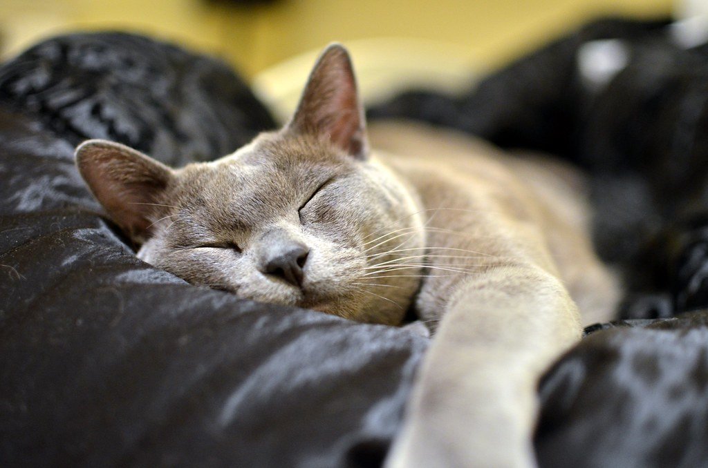 Sleeping in Unusual Places