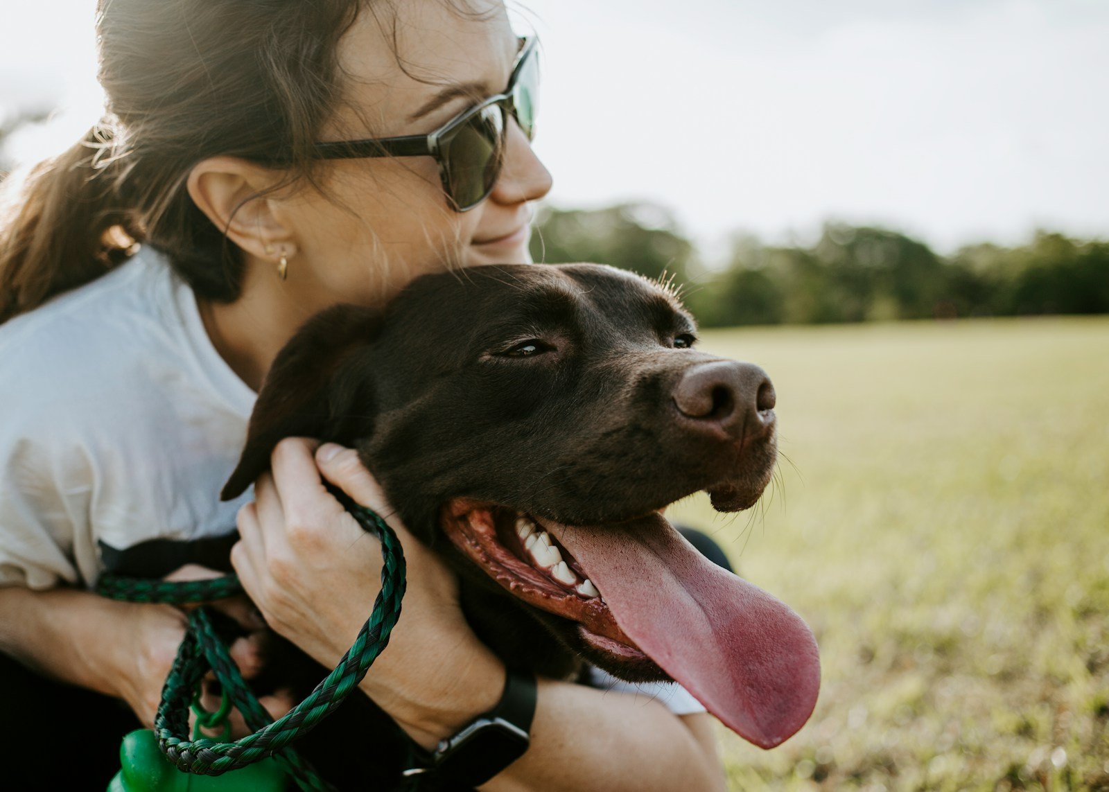 Dogs: Your Built-In Therapist, Personal Trainer, and Social Wingman All in One