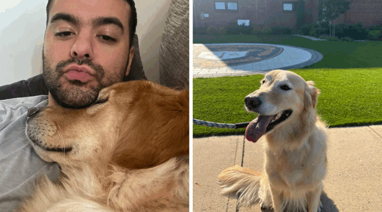 Navy Sailor Returns From Deployment to Find His Dog Gone — And Then Fights to Bring Him Home