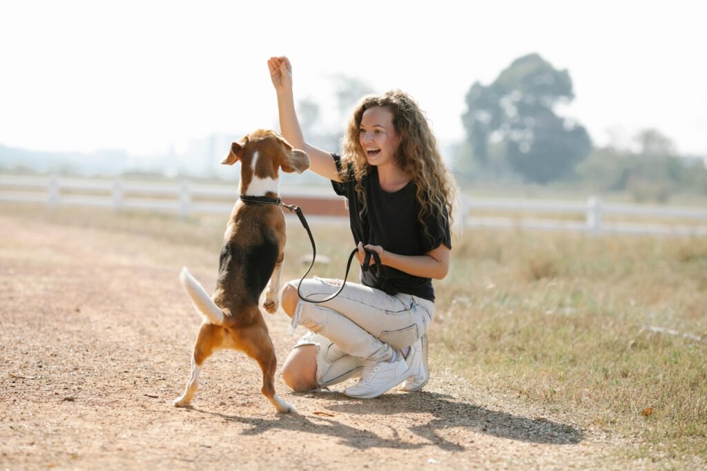 Owner doing dog training. (image credits: pexels)