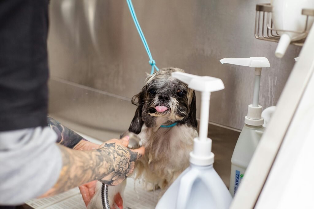 Dog getting a bath at the groomers. (image credits: pexels)
