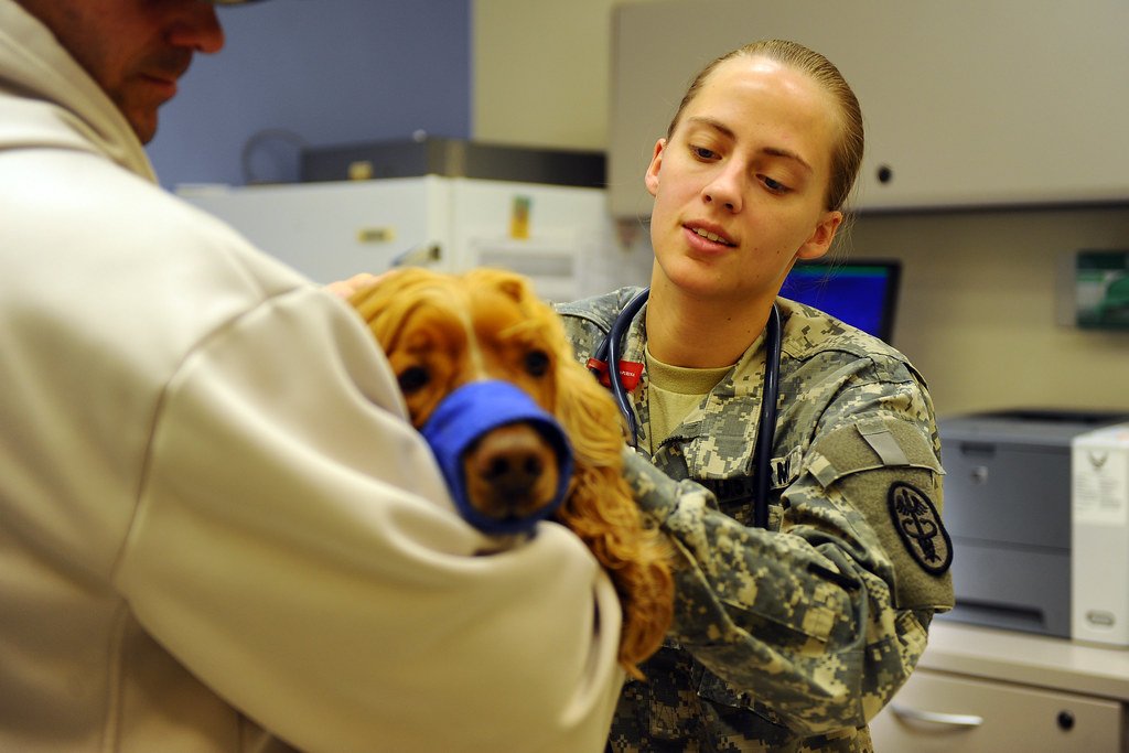 Prone to Ear Infections: An Ongoing Battle (image credits: flickr)