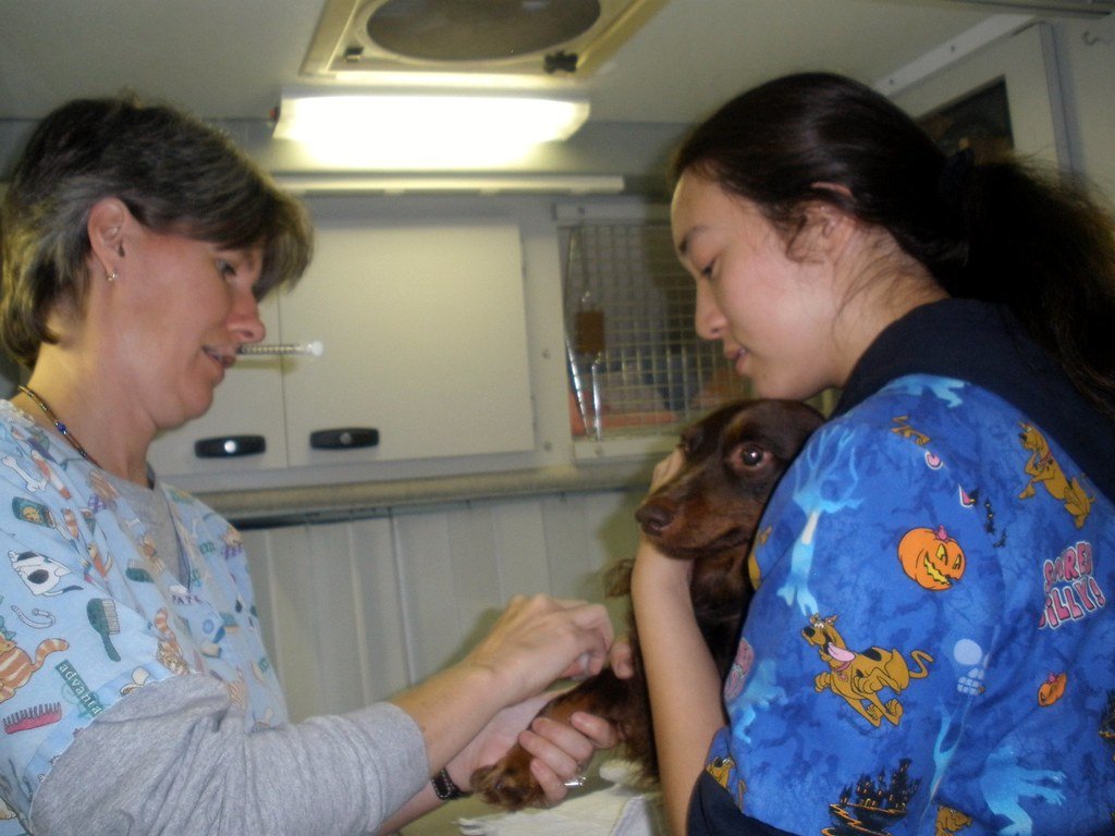 Common Health Concerns to Watch For (image credits: flickr)