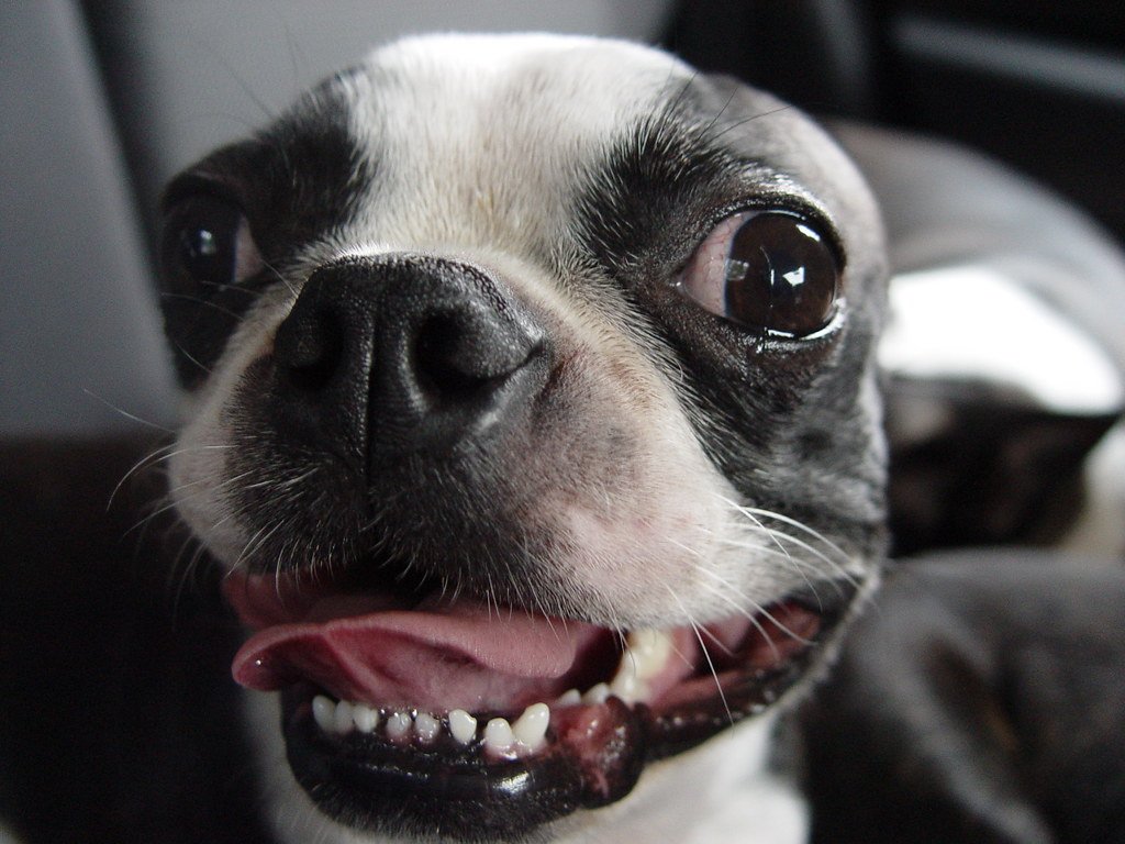 Nervousness and Stress: Reading Emotional Cues (image credits: flickr)