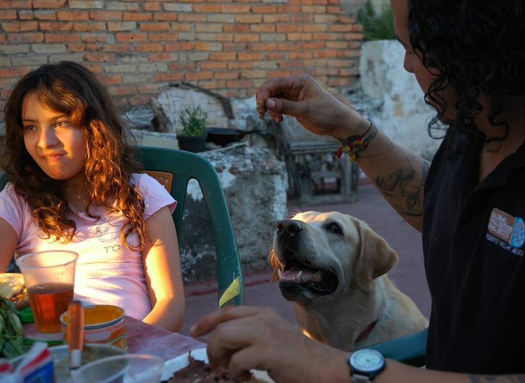 Learned Behavior: The Role of Routine and Habit (image credits: flickr)