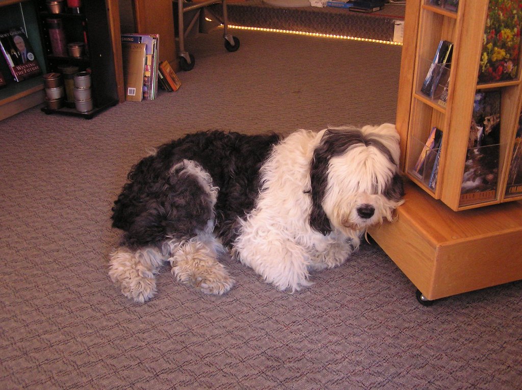 Boredom: The Surprising Culprit (image credits: flickr)