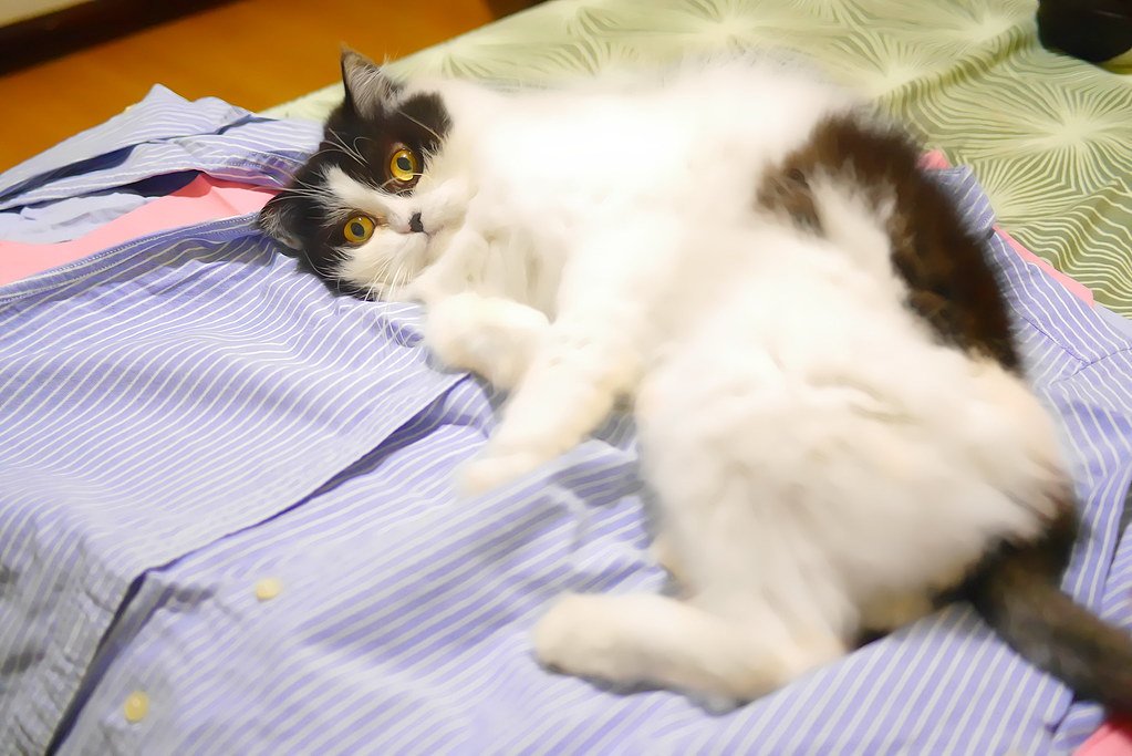 Sleeping on Your Belongings (image credits: flickr)