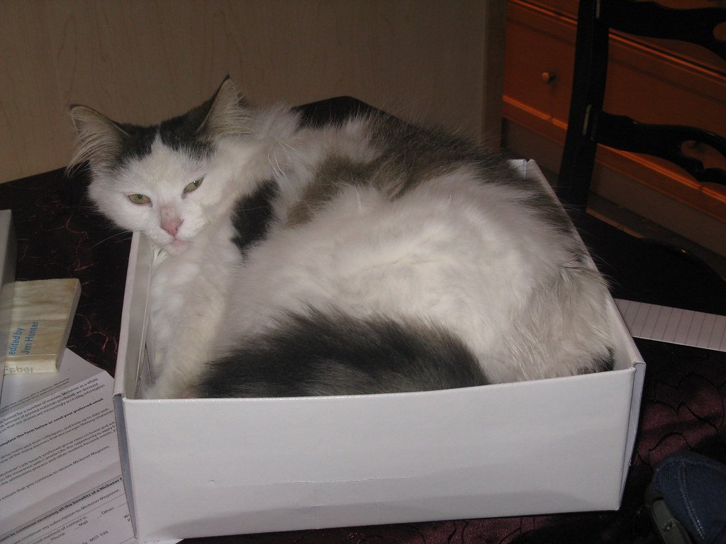 Crammed in Tight Spaces (image credits: flickr)