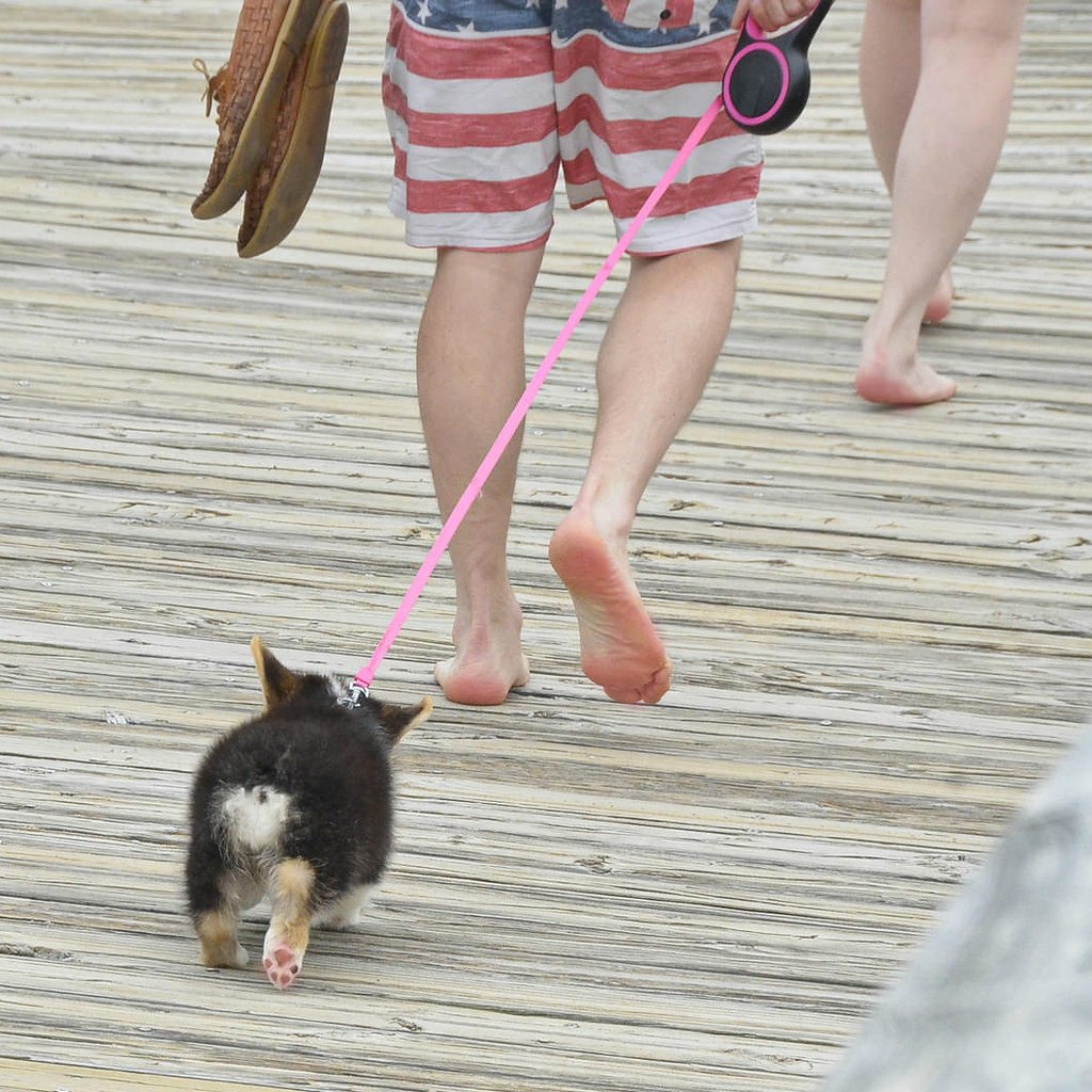 The “Seven Second Rule” for Safe Surfaces (image credits: flickr)