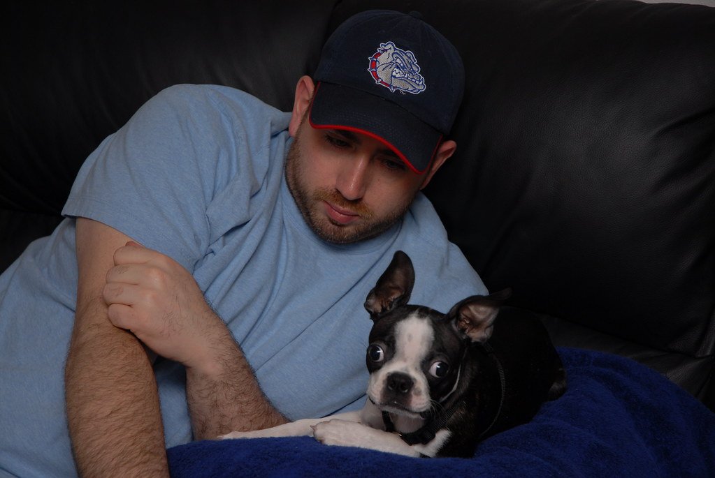 They Mimic Your Moods (image credits: flickr)